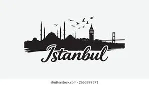 İstanbul Evden Eve Nakliyat