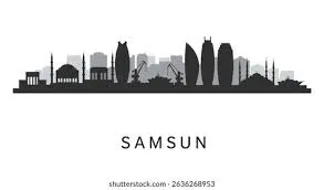 Samsun Evden Eve Nakliyat